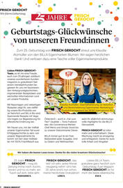 Billa Flugblatt Seite 8