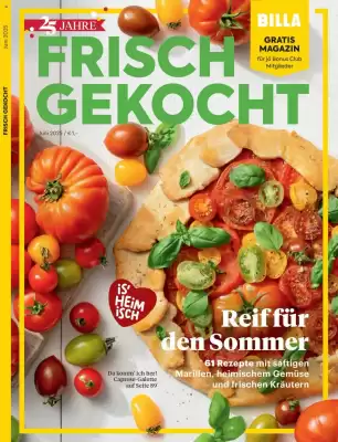 Billa Flugblatt (gültig bis 30-06)