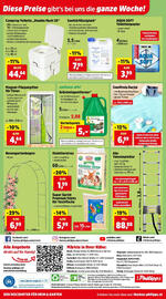 Thomas Philipps Flugblatt woche 22 Seite 16