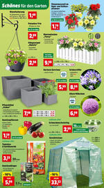 Thomas Philipps Flugblatt woche 22 Seite 4