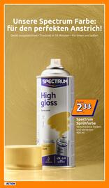 Action Flugblatt woche 21 Seite 19