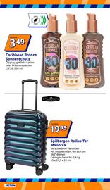 Action Flugblatt woche 21 Seite 21