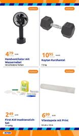 Action Flugblatt woche 21 Seite 29