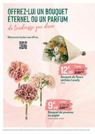 Catalogue Botanic page 12