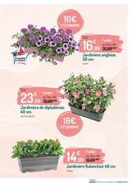 Catalogue Botanic page 5