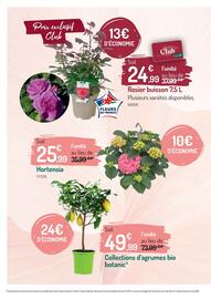 Catalogue Botanic page 6