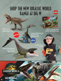 Woolworths catalogue Page 121