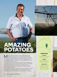 Woolworths catalogue Page 98