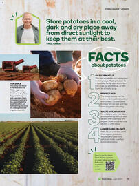 Woolworths catalogue Page 99