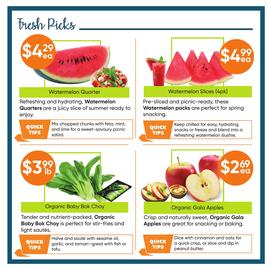 Healthy Planet flyer Page 2