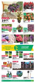 Kent flyer Page 4