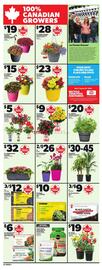 Loblaws flyer Page 11