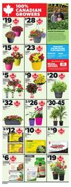 Zehrs Markets flyer Page 12