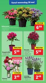 Lidl folder week 22 Pagina 50