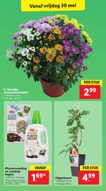 Lidl folder week 22 Pagina 51