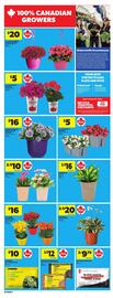 Dominion flyer week 21 Page 13