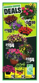 Chalo FreshCo flyer week 21 Page 5
