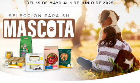 Folleto Costco Página 1