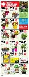 Zehrs Markets flyer week 21 Page 13