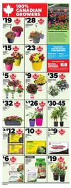 Independent Grocer flyer week 21 Page 10