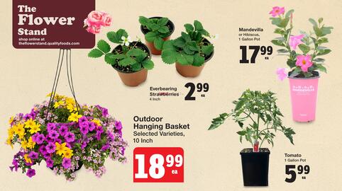 Quality Foods flyer Page 5