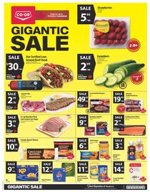 Co-op flyer Page 1