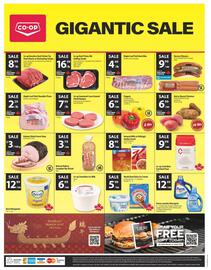 Co-op flyer Page 2