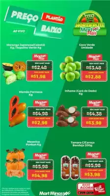 Catálogo Mart Minas