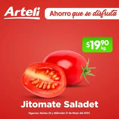 Catálogo Arteli express