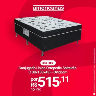 Catálogo Lojas Americanas (válido até 31-05)