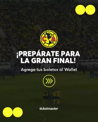Catálogo Ticketmaster (válido hasta 22-05)