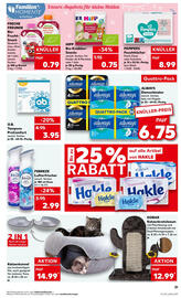 Kaufland Prospekt woche 21 Seite 31