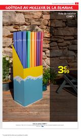 Catalogue Carrefour Market | PROFITER ENFIN DE SON JARDIN page 9