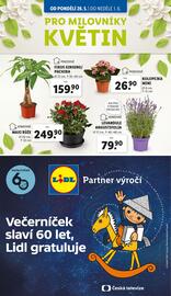 Lidl leták Strana 35