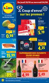 Catalogue Lidl semaine 22 page 1