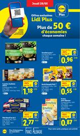 Catalogue Lidl semaine 22 page 10