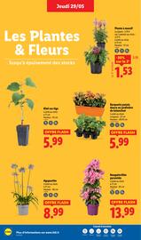Catalogue Lidl semaine 22 page 32