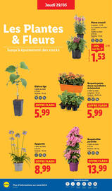 Catalogue Lidl semaine 22 page 32