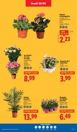 Catalogue Lidl semaine 22 page 33