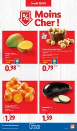 Catalogue Lidl semaine 22 page 5