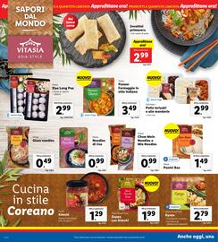 Volantino Lidl settimana 22 Pagina 16