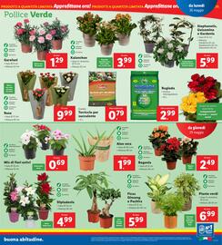 Volantino Lidl settimana 22 Pagina 19