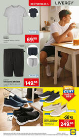 Lidl leták týden 22 Strana 19