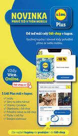 Lidl leták Strana 31