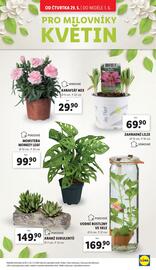 Lidl leták Strana 35