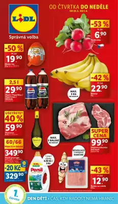 Lidl leták (platné do 1-06)