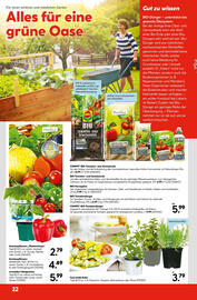 Hellweg Flugblatt woche 21 Seite 22