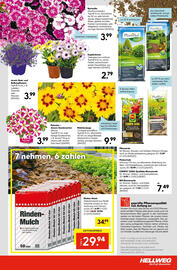 Hellweg Flugblatt woche 21 Seite 23