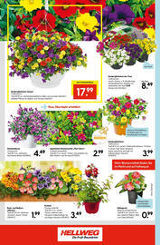 Hellweg Flugblatt woche 21 Seite 24