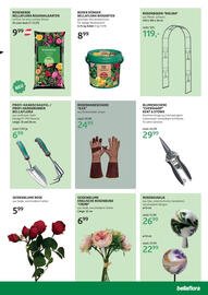 Bellaflora Flugblatt Seite 3
